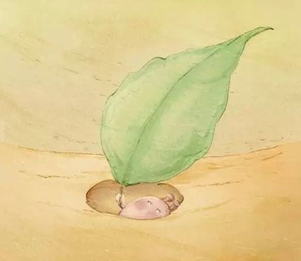 《蜗牛快递》对理想永不言弃