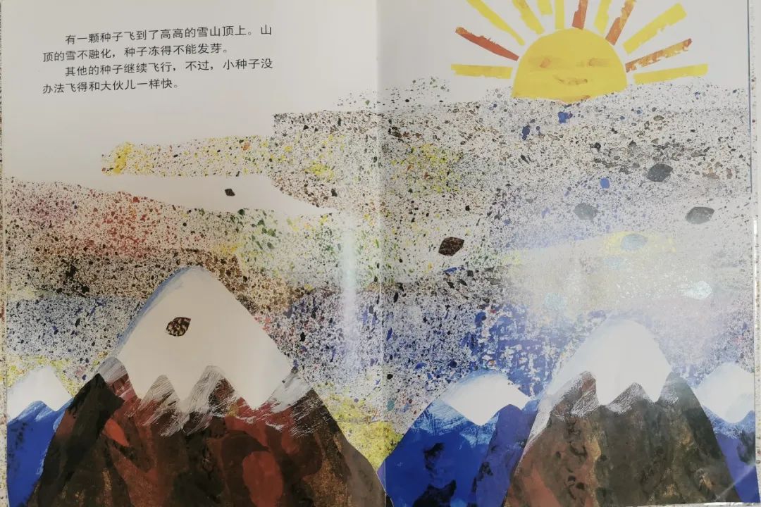 儿童生命教育绘本故事《小种子》插图4 儿童生命教育绘本故事《小种子》