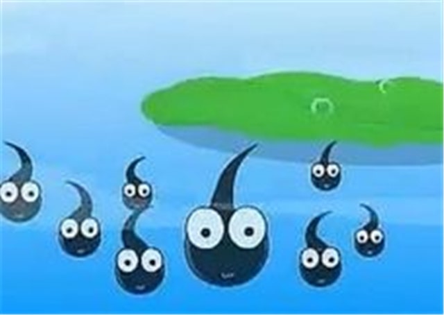 儿童绘本故事《小蝌蚪找妈妈》插图11 儿童绘本故事《小蝌蚪找妈妈》