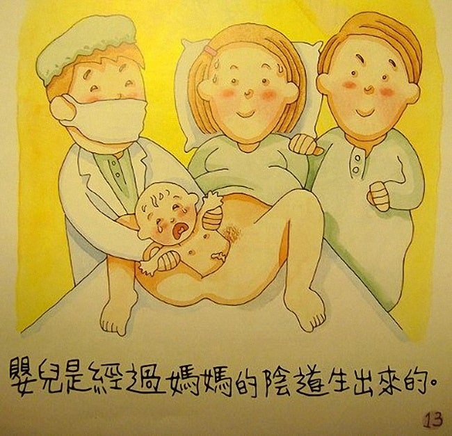 香港幼儿性教育绘本《我从哪里来》