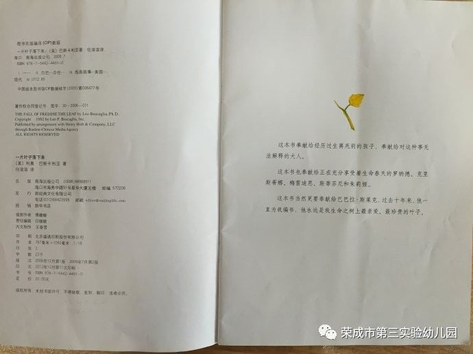 一片叶子落下来