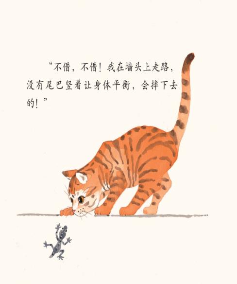 小壁虎借尾巴绘本故事插图3 小壁虎借尾巴绘本故事