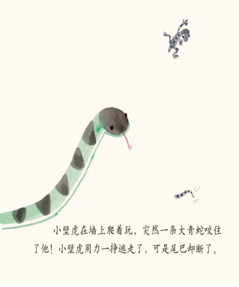 小壁虎借尾巴绘本故事插图1 小壁虎借尾巴绘本故事