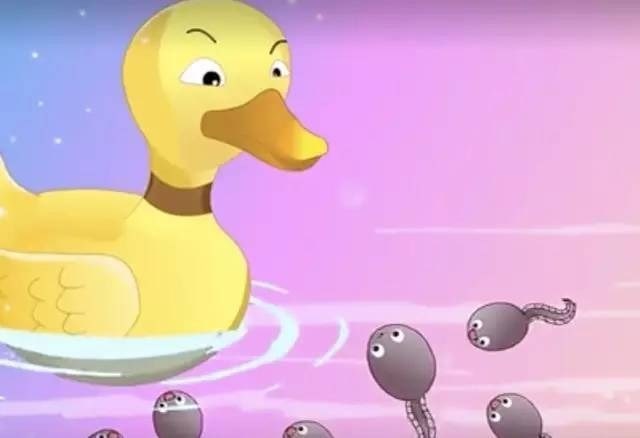 儿童绘本故事《小蝌蚪找妈妈》插图2 儿童绘本故事《小蝌蚪找妈妈》