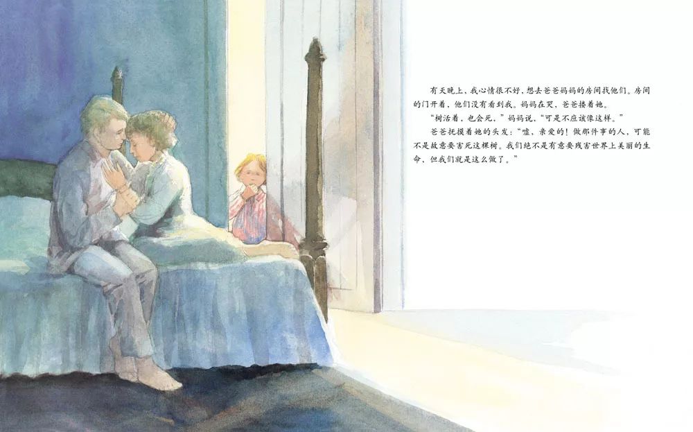 儿童绘本故事《艾莉丝的树》插图12 儿童绘本故事《艾莉丝的树》