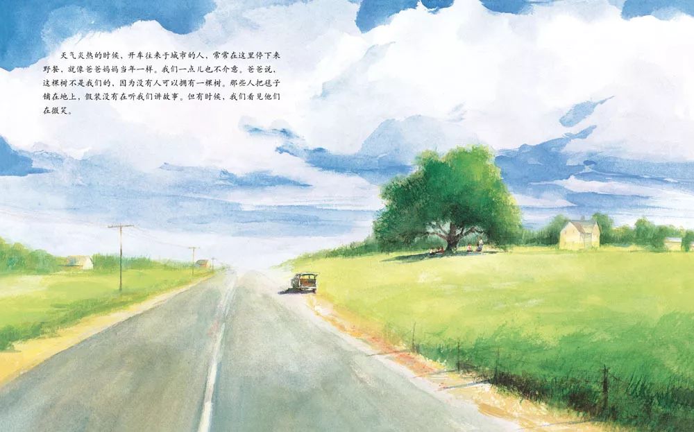 儿童绘本故事《艾莉丝的树》插图4 儿童绘本故事《艾莉丝的树》