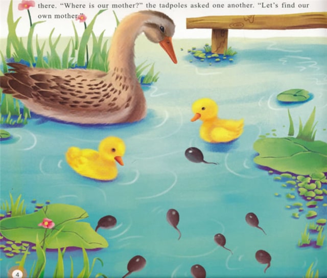 儿童绘本故事《小蝌蚪找妈妈》插图4 儿童绘本故事《小蝌蚪找妈妈》