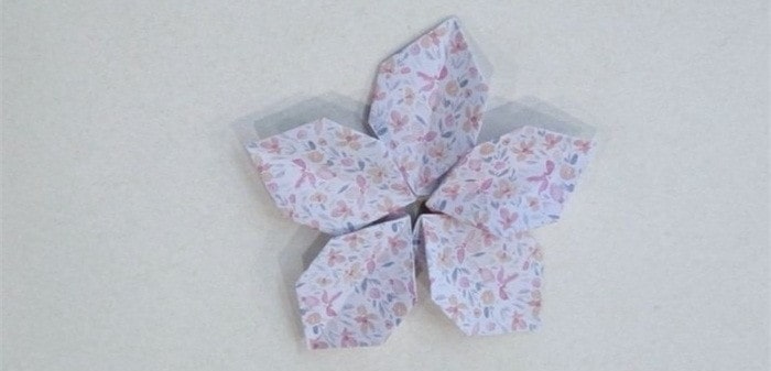 五瓣花朵怎么折?五瓣花朵的折法简单又漂亮(附图解)插图13 五瓣花朵怎么折?五瓣花朵的折法简单又漂亮(附图解)