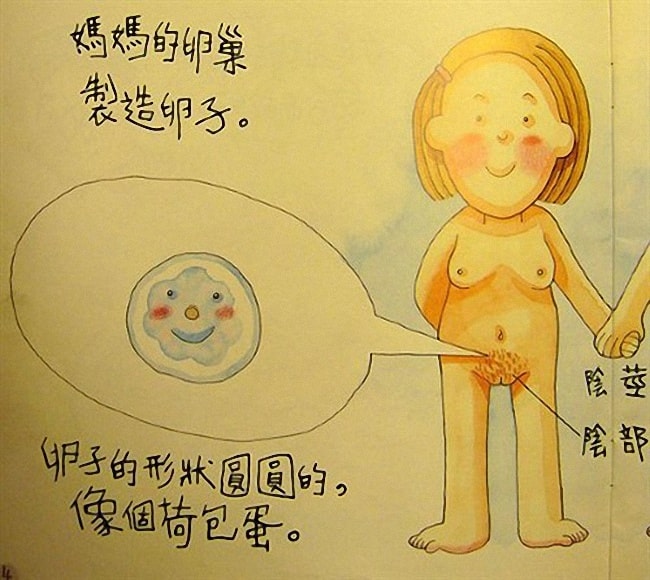 香港幼儿性教育绘本《我从哪里来》