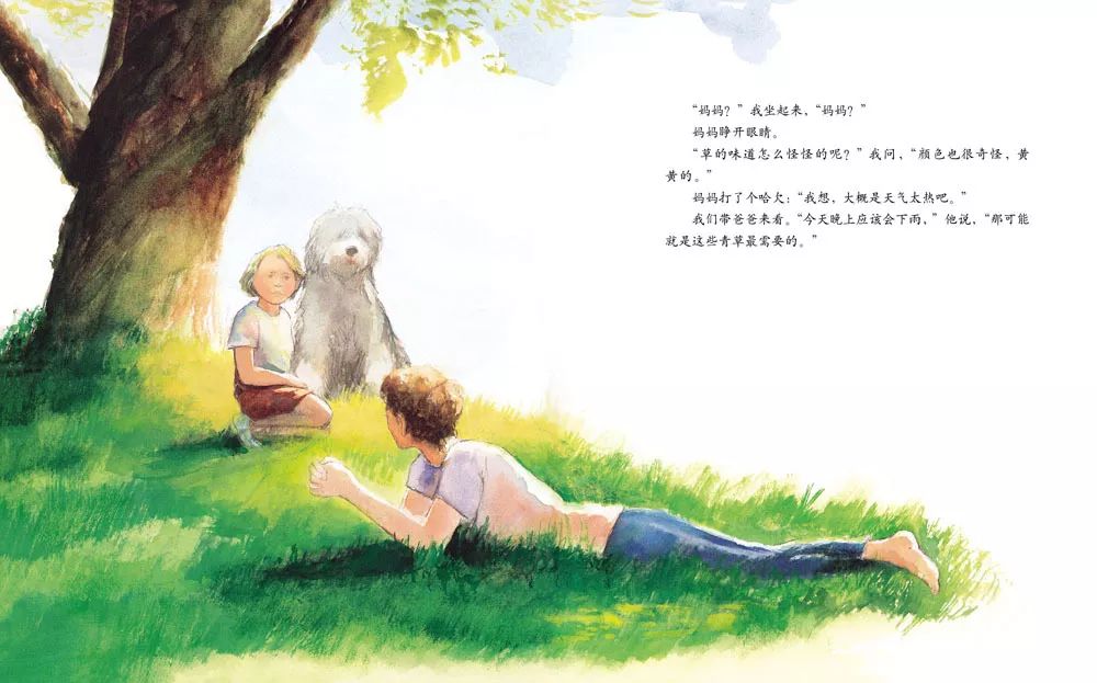 儿童绘本故事《艾莉丝的树》插图6 儿童绘本故事《艾莉丝的树》