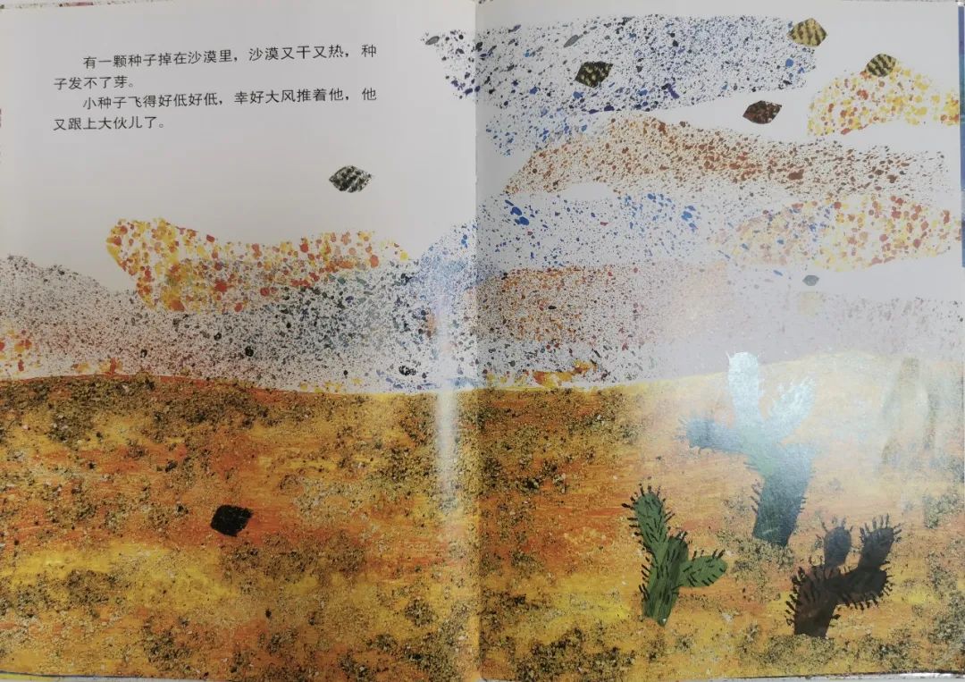 儿童生命教育绘本故事《小种子》插图6 儿童生命教育绘本故事《小种子》