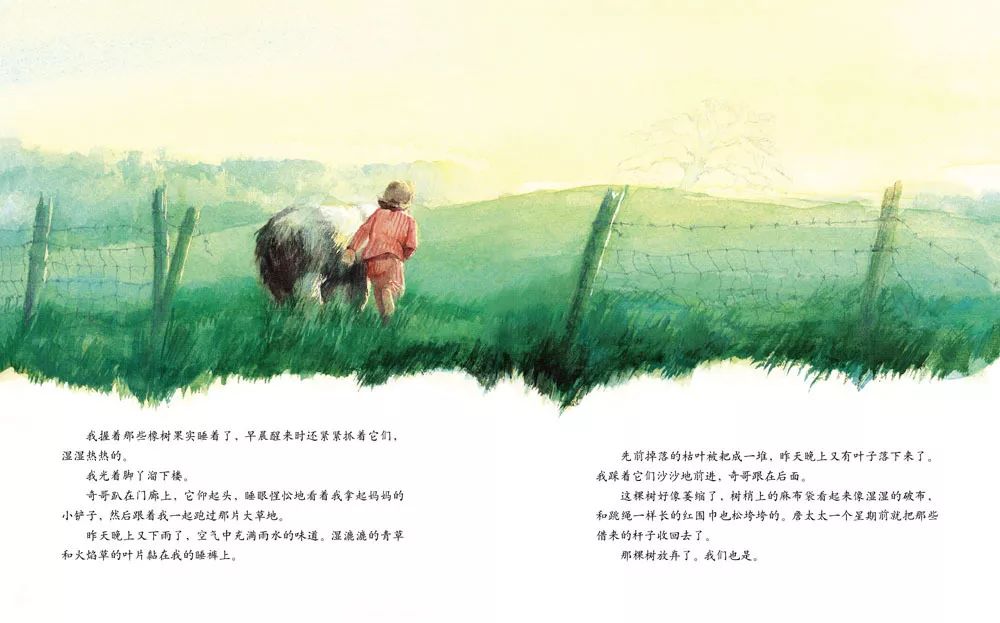 儿童绘本故事《艾莉丝的树》插图14 儿童绘本故事《艾莉丝的树》