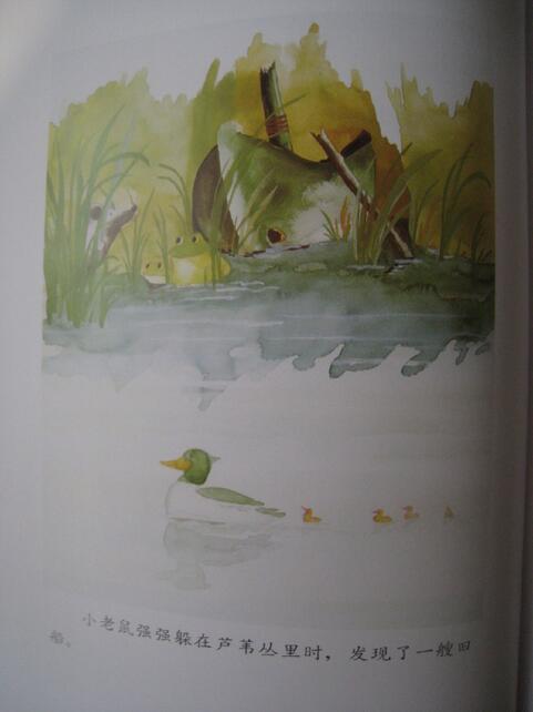 《好朋友》好朋友也需要彼此有自己的空间