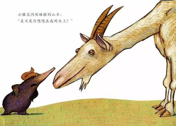 儿童绘本推荐《是谁嗯嗯在我的头上》插图9 儿童绘本推荐《是谁嗯嗯在我的头上》