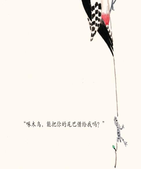小壁虎借尾巴绘本故事插图4 小壁虎借尾巴绘本故事