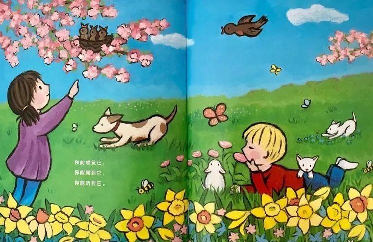 绘本故事《当春天来临》教孩子认识春天插图14 绘本故事《当春天来临》教孩子认识春天