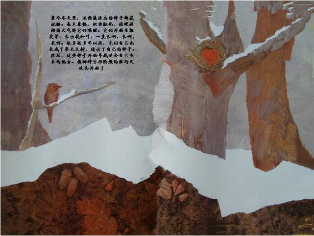 绘本故事《一粒种子的旅行》神奇的大自然