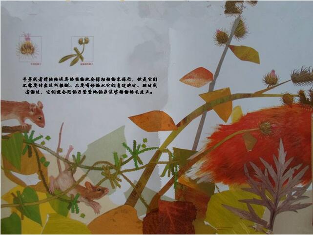 绘本故事《一粒种子的旅行》神奇的大自然