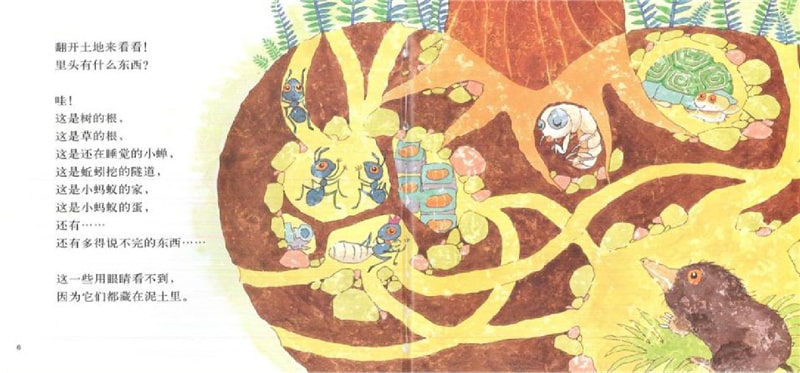 春天的故事绘本《花园里有什么》插图5 春天的故事绘本《花园里有什么》