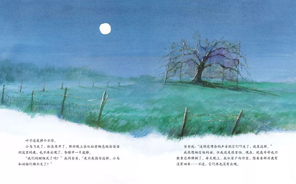 儿童绘本故事《艾莉丝的树》插图11 儿童绘本故事《艾莉丝的树》