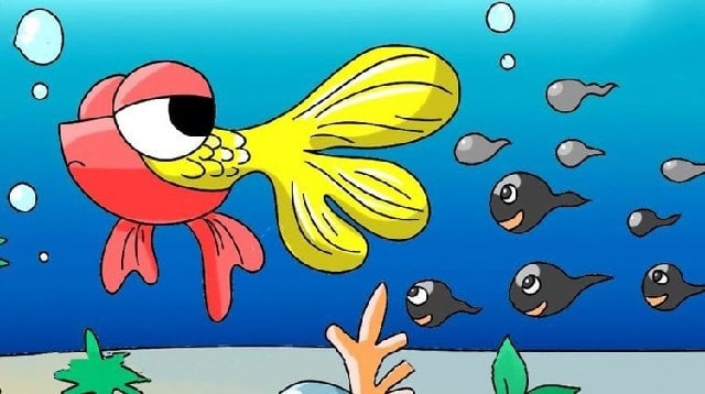 儿童绘本故事《小蝌蚪找妈妈》插图5 儿童绘本故事《小蝌蚪找妈妈》