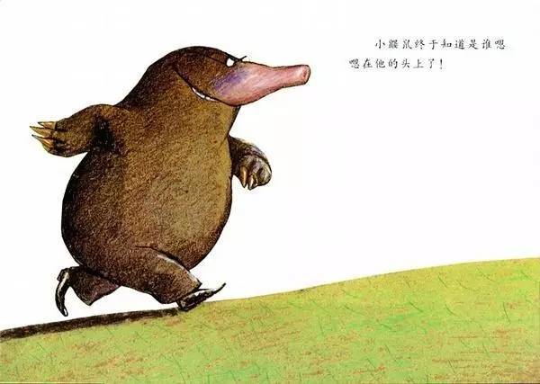 儿童绘本推荐《是谁嗯嗯在我的头上》插图17 儿童绘本推荐《是谁嗯嗯在我的头上》