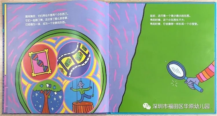 儿童性教育启蒙绘本《我从哪里来》插图10 儿童性教育启蒙绘本《我从哪里来》