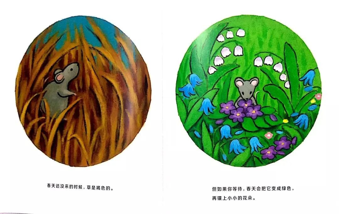 绘本故事《当春天来临》教孩子认识春天插图5 绘本故事《当春天来临》教孩子认识春天
