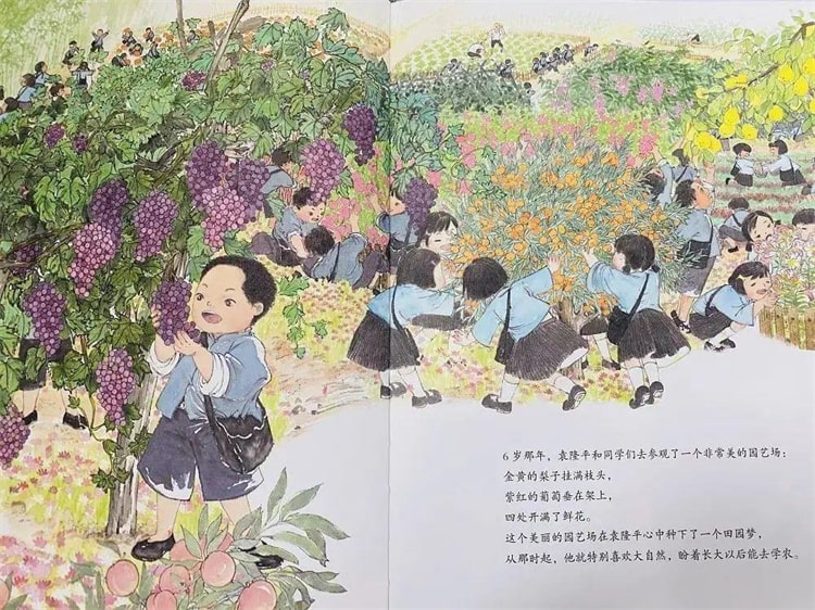 袁隆平的故事《一粒种子改变世界绘本》插图3 袁隆平的故事《一粒种子改变世界绘本》