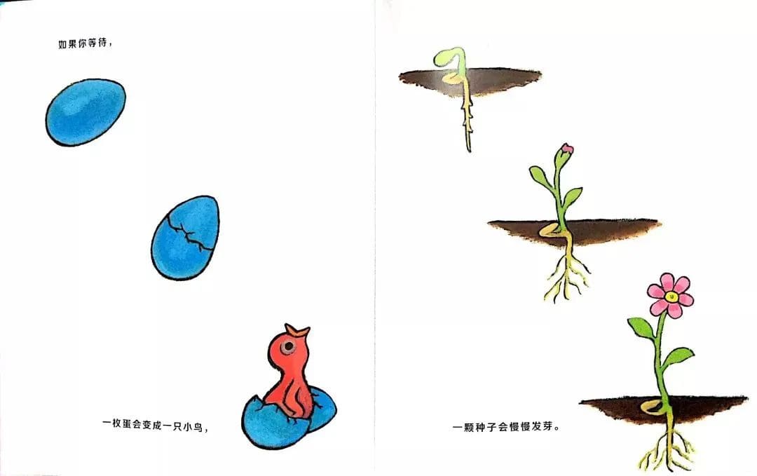 绘本故事《当春天来临》教孩子认识春天插图6 绘本故事《当春天来临》教孩子认识春天