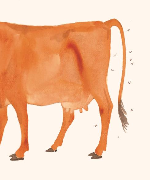 小壁虎借尾巴绘本故事插图10 小壁虎借尾巴绘本故事