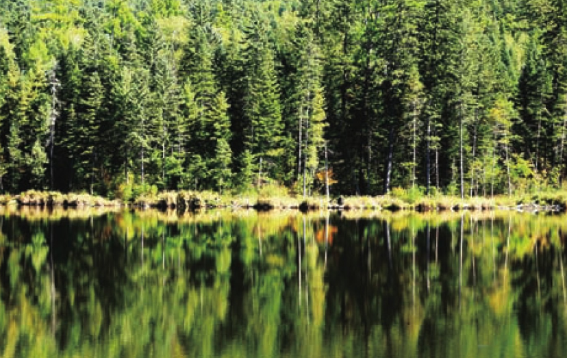 「世界国家地理百科」小兴安岭森林插图1 「世界国家地理百科」小兴安岭森林