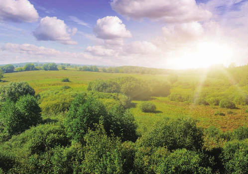 「世界国家地理百科」小兴安岭森林插图2 「世界国家地理百科」小兴安岭森林