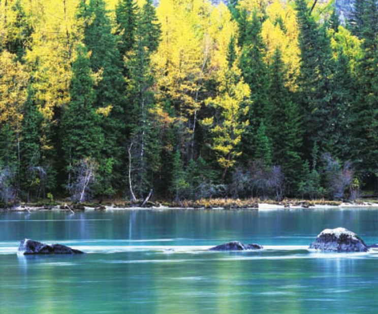 「世界国家地理百科」长白山原始森林插图7 「世界国家地理百科」长白山原始森林