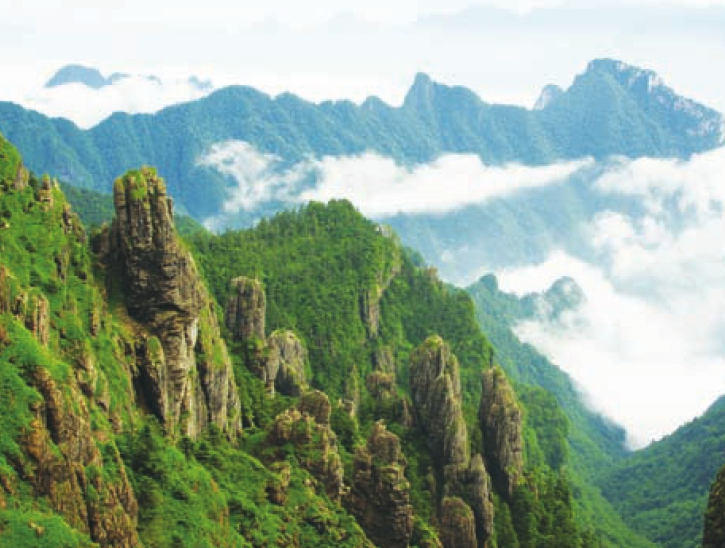 「世界国家地理百科」神农架原始森林插图1 「世界国家地理百科」神农架原始森林