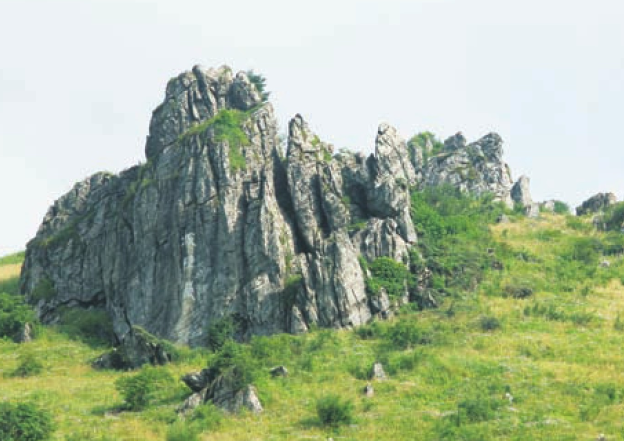 「世界国家地理百科」神农架原始森林插图2 「世界国家地理百科」神农架原始森林