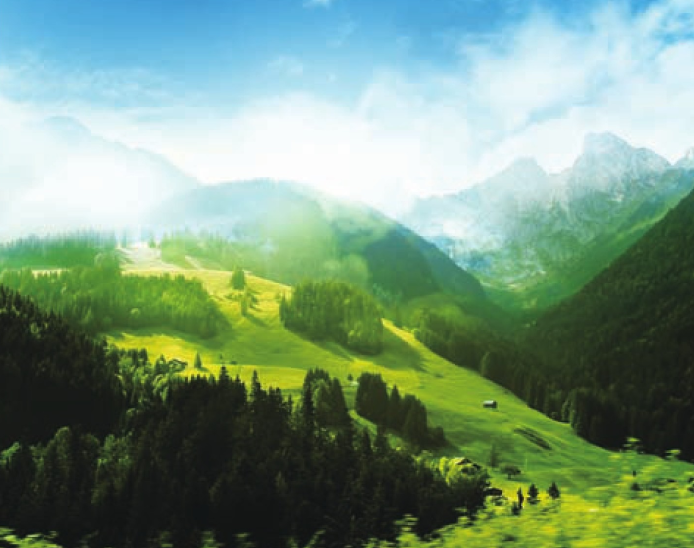 「世界国家地理百科」神农架原始森林插图9 「世界国家地理百科」神农架原始森林