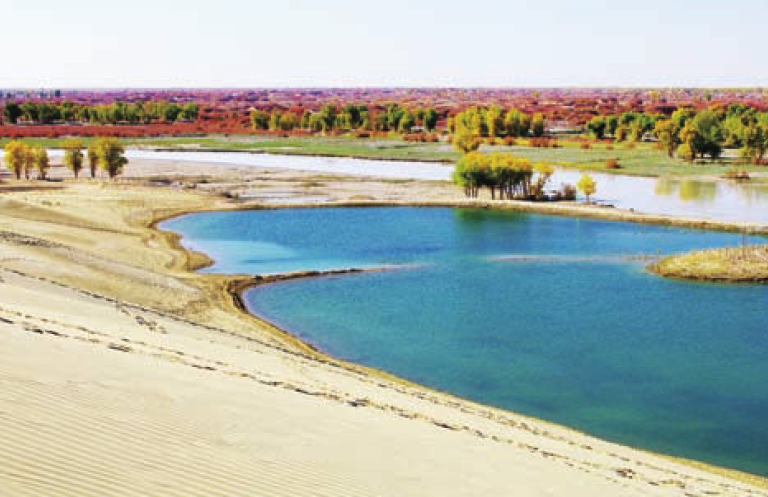 「世界国家地理百科」荒漠戈壁森林插图3 「世界国家地理百科」荒漠戈壁森林