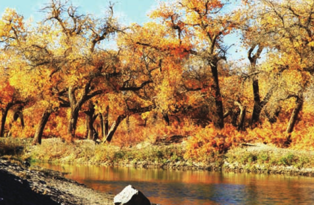 「世界国家地理百科」荒漠戈壁森林插图8 「世界国家地理百科」荒漠戈壁森林