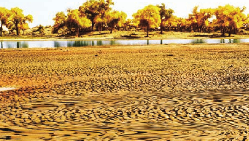 「世界国家地理百科」荒漠戈壁森林插图11 「世界国家地理百科」荒漠戈壁森林