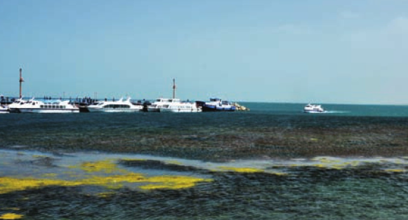 「世界国家地理百科」高原碧波荡漾——青海湖插图3 「世界国家地理百科」高原碧波荡漾——青海湖