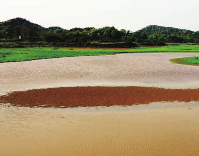 「世界国家地理百科」中国第一大淡水湖——鄱阳湖插图3 「世界国家地理百科」中国第一大淡水湖——鄱阳湖