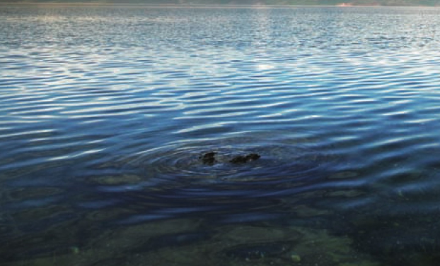 「世界国家地理百科」著名咸水湖——图尔卡纳湖插图1 「世界国家地理百科」著名咸水湖——图尔卡纳湖