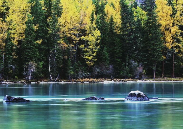 「世界国家地理百科」著名咸水湖——图尔卡纳湖插图3 「世界国家地理百科」著名咸水湖——图尔卡纳湖
