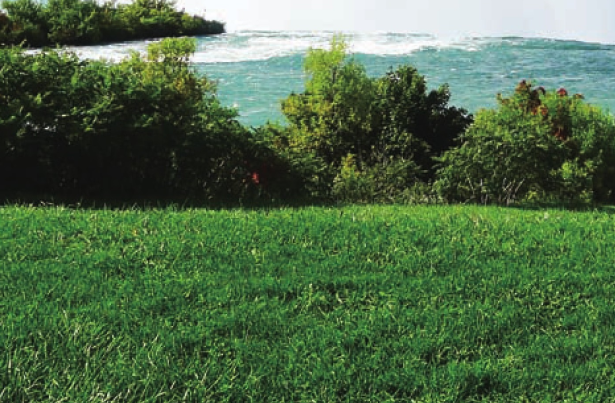 「世界国家地理百科」甜甜的海——尼加拉瓜湖