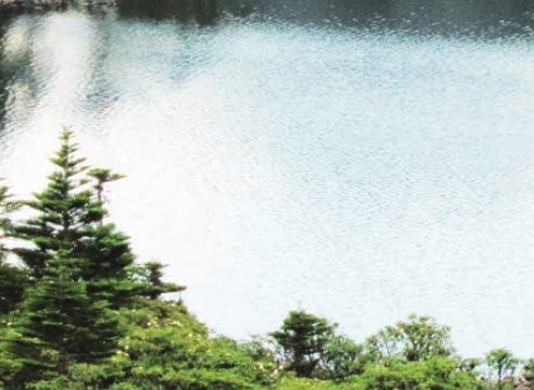 「世界国家地理百科」欧洲最大的湖——拉多加湖插图2 「世界国家地理百科」欧洲最大的湖——拉多加湖