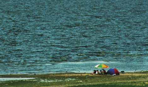 「世界国家地理百科」印度最大湖泊——吉尔卡湖插图2 「世界国家地理百科」印度最大湖泊——吉尔卡湖