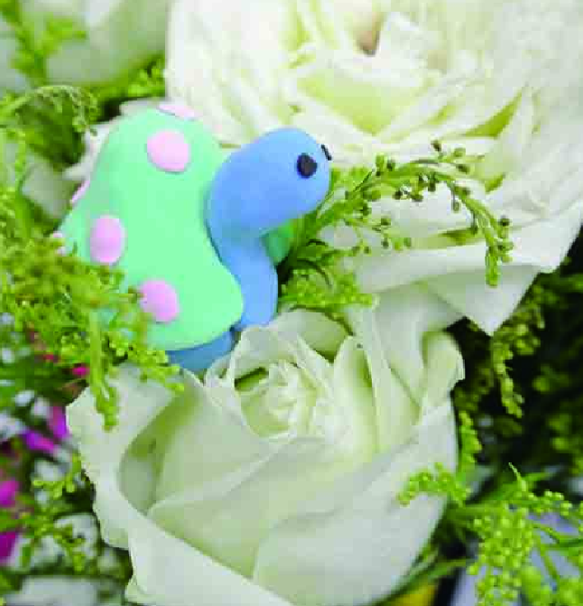 「彩泥制作教程」小乌龟插图 「彩泥制作教程」小乌龟