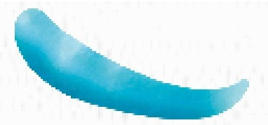 「彩泥制作教程」大象两篇插图11 「彩泥制作教程」大象两篇