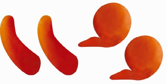 「彩泥制作教程」松鼠